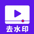 流年去水印 v2.0