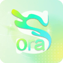 Sora视界 v1.11