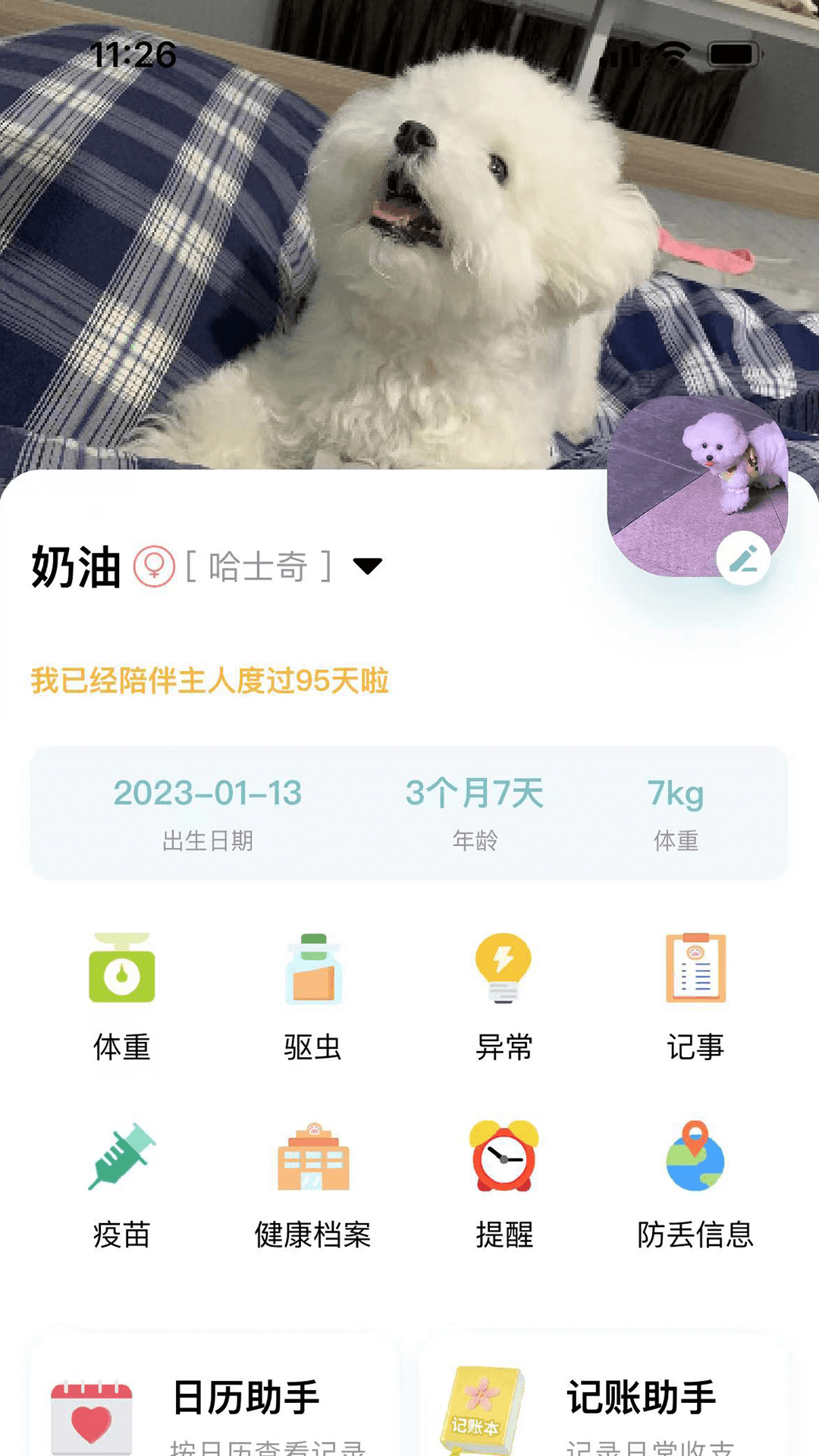 述宠