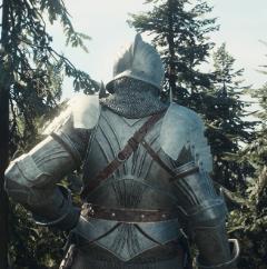 龙之信条2骑士风格行军者盔甲MOD v1.0