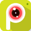 P图大婶 v1.1.4