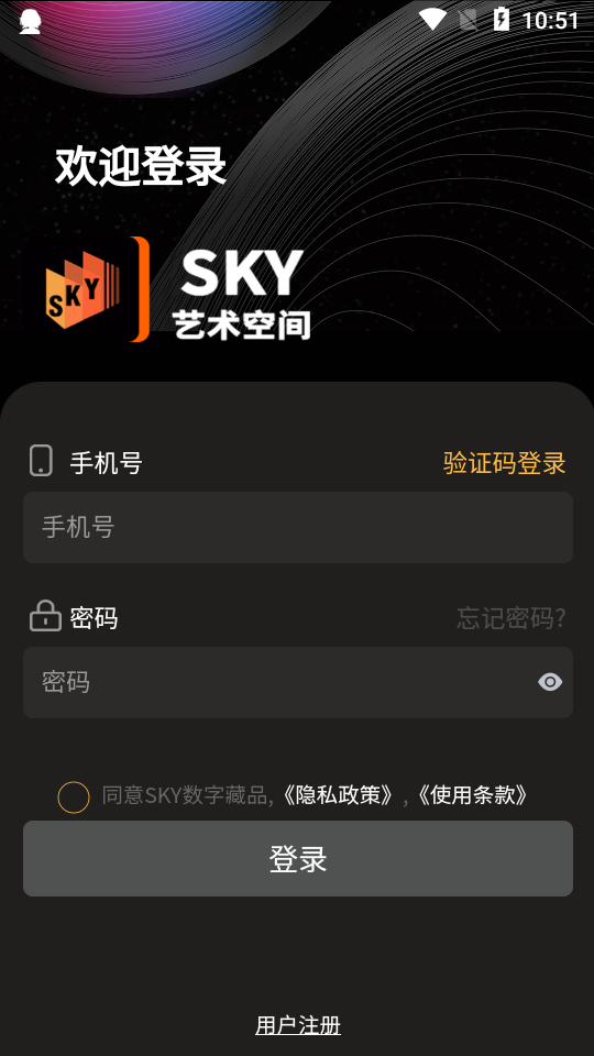 sky艺术空间数字藏品官网版app