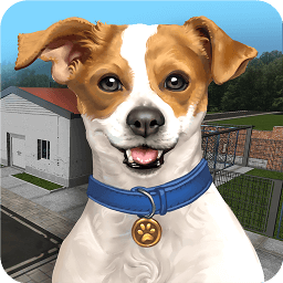 动物收容所模拟器(Animal Shelter Simulator) 1.362