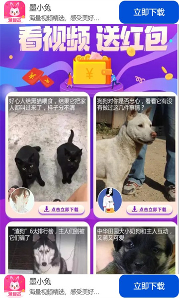 墨小兔