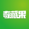奇藏果数藏平台 v1.0.0