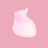 life生命 1.0.1