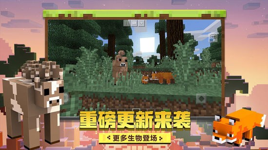 我的世界 我的世界