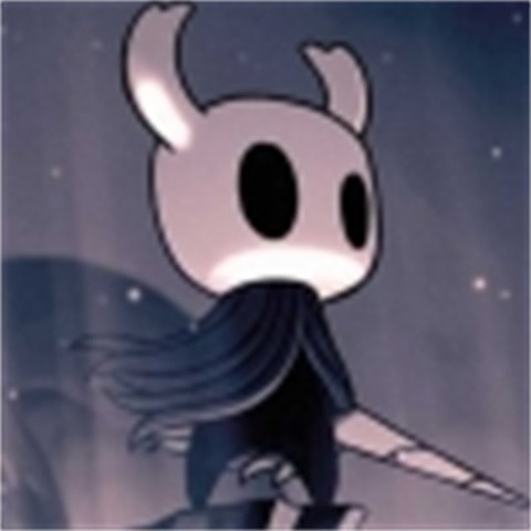 觉醒圣骑士 4.8.29