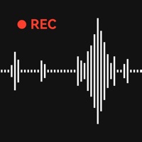 录音专家转文字助手 1.0.11