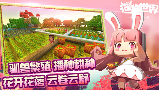 迷你世界