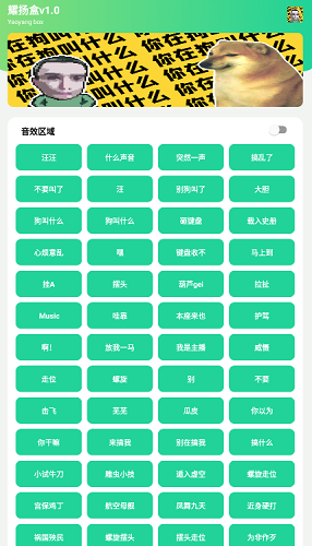 耀扬盒