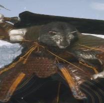 黑神话悟空无限变身MOD v2.0
