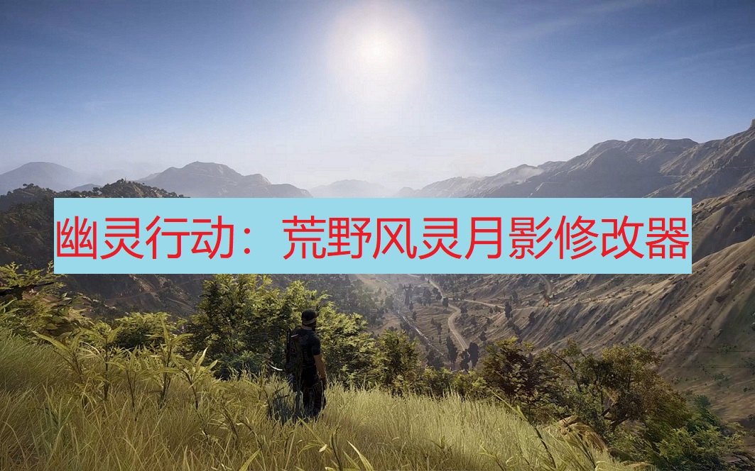 幽灵行动荒野修改器