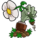 植物大战僵尸贝塔6.25 3.0.1