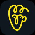 ai动脸(Anyface) v1.0.11