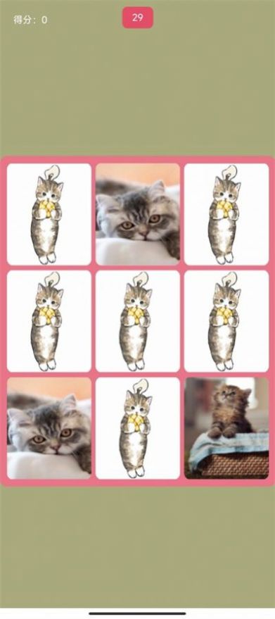 捕获猫妖 捕获猫妖