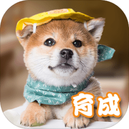 元气 2.4.4