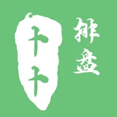 卜卜排盘 2.0.0