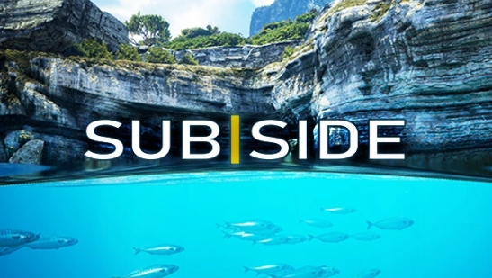 Subside全解锁完美存档