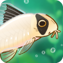 Pondlife安装器 1.21.1