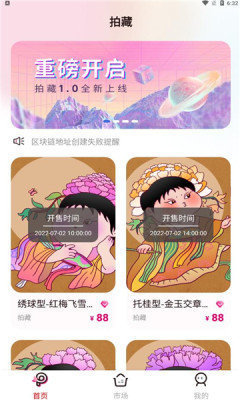 拍藏数字藏品平台