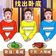 找出卧底 3.0