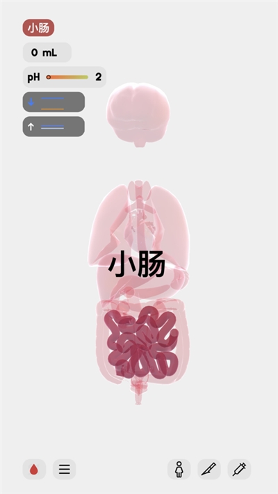 生命人体模拟器 life汉化版