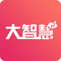 大智慧 v9.54