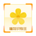 植物识别王 v1.0.4