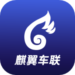 麒翼车联风控云平台移动端 1.0.0