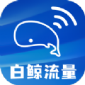 白鲸流量 2.0.1