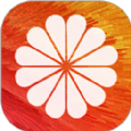 全局动态壁纸 v5.2.1
