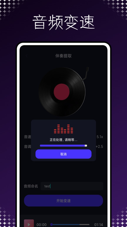 audiolab pro