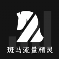 斑马流量精灵 v1.0.0