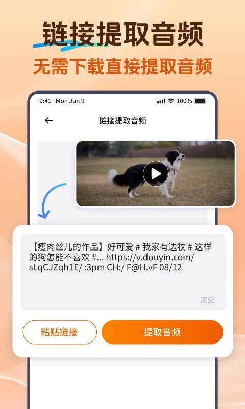 Viwoo音频格式转换器