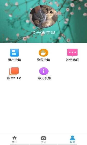 植物品鉴 植物品鉴