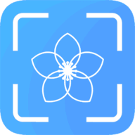 识图专家 v1.1