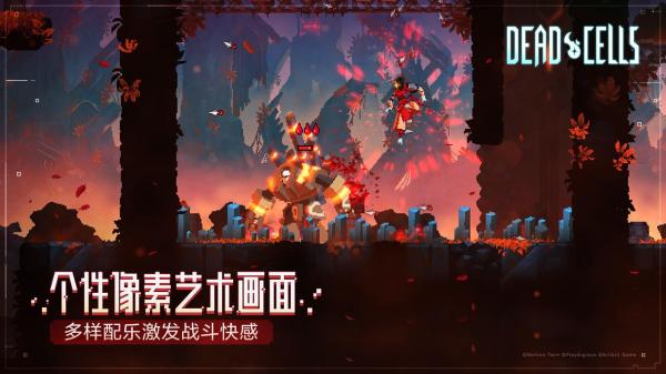 重生细胞无邪客栈1.70.6