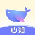 心知 2.18.1