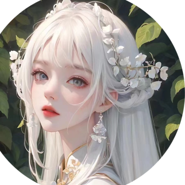 白鸟脚本辅助 v521