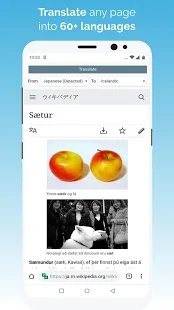 kiwi浏览器国际版