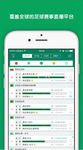 DS足球官网版