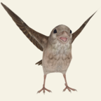 救救那小鸟 1.2