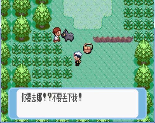金手指 金手指