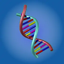 人类跑步 1.0.10