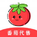 番茄代售 v2.1.3