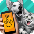 Pet Translator(中文版) v1.1