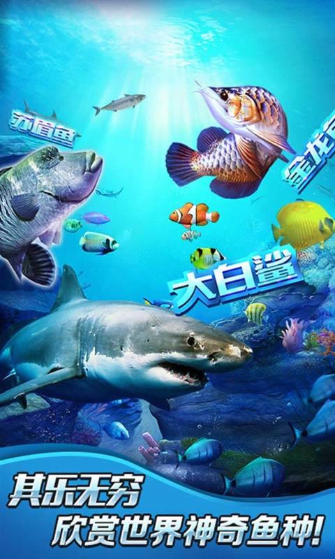 钓鱼