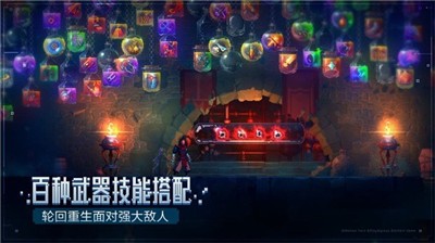 重生细胞 重生细胞
