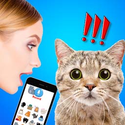 猫狗语言翻译器 1.6